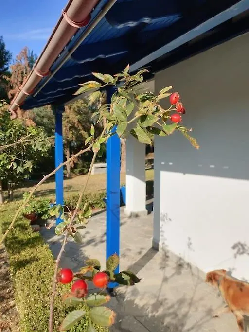 הוילה Paliouri Blue House בית נופש