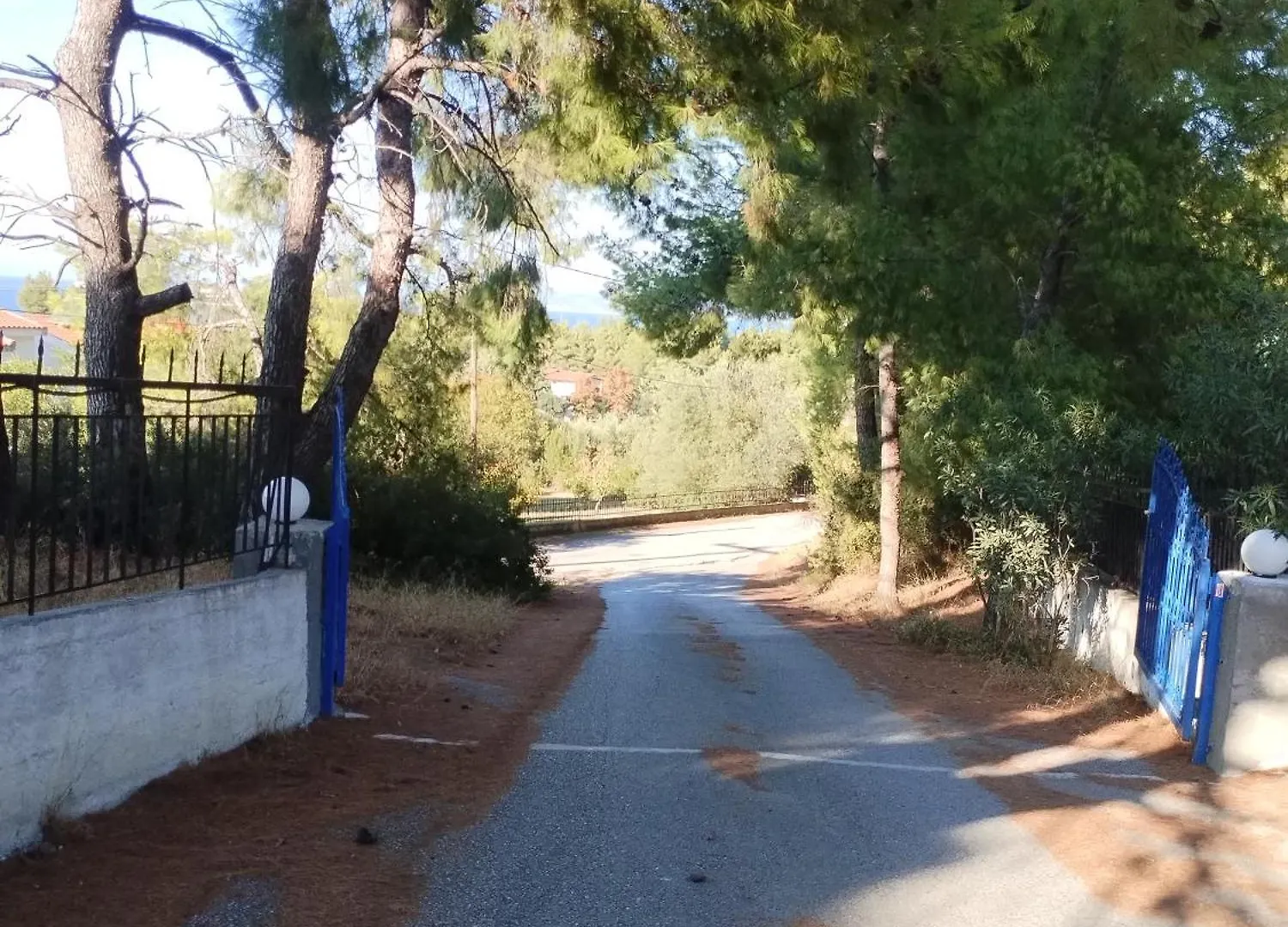 הוילה Paliouri Blue House בית נופש