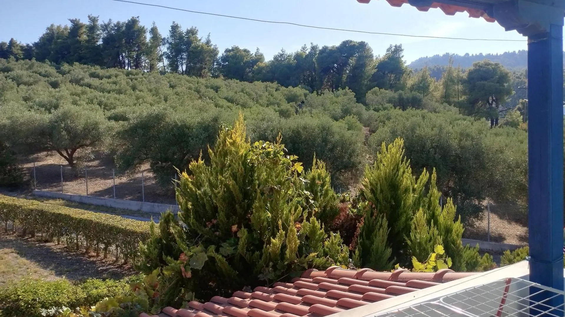 הוילה Paliouri Blue House