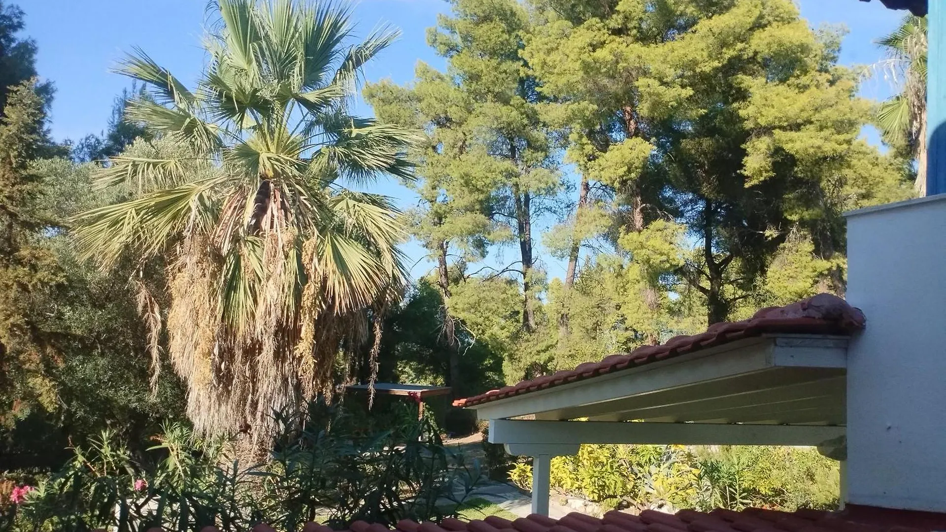 בית נופש הוילה Paliouri Blue House