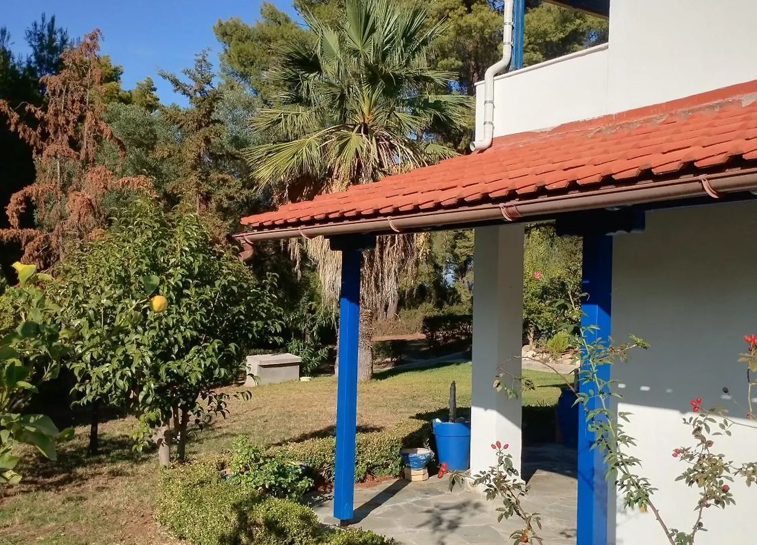 הוילה Paliouri Blue House בית נופש